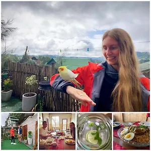 Bed and breakfast Golden King Guest, Nuwara Eliya
